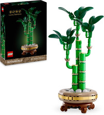 Botanicals Lucky Bamboo
