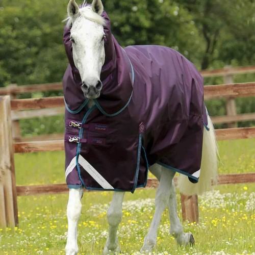 Premier equine titan 200g - equine,