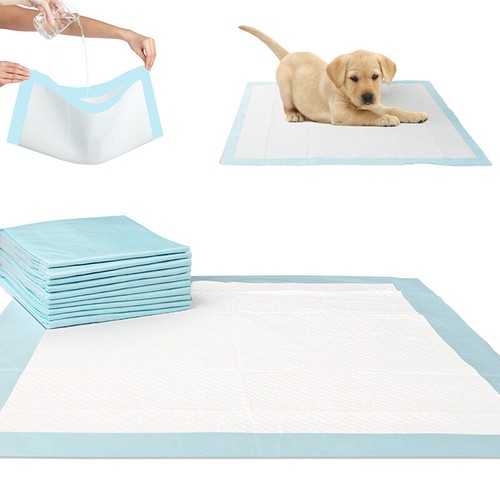 Doggy puppy dog training - doggy,