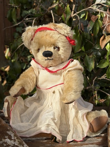 Old teddy bear chad - old,