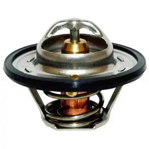 Thermostat 92095 meat doria - meat, &