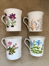 Queens Fine Bone China Beakers