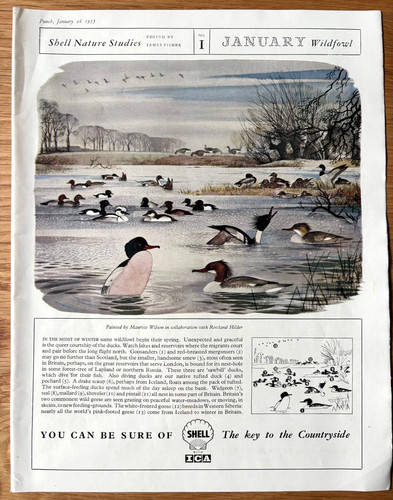 1950 rowland hilder art - 1950’s,