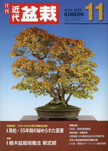 Monthly modern bonsai - bonsai, november