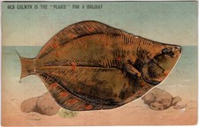 DENBIGHSHIRE - OLD COLWYN, "THE PLAICE FOR  A HOLIDAY" PULL OUT NOVELTY CARD
