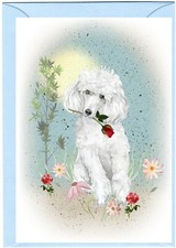 Poodle White Dog (4"x 6")