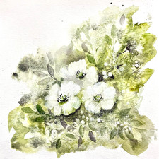 Original White Blossom