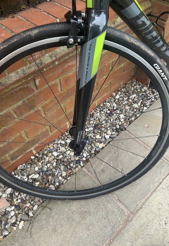 Men road bike giant - men's,
