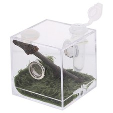 Spider Breeding Case Habitat