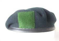 THE DEVONSHIRE & DORSET REGT