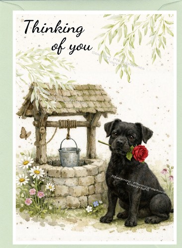 Patterdale terrier dog - patterdale,