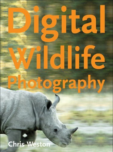 Digital wildlife photography - wildlife,