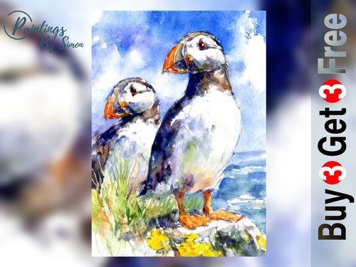Puffin pair watercolour print - puffin,