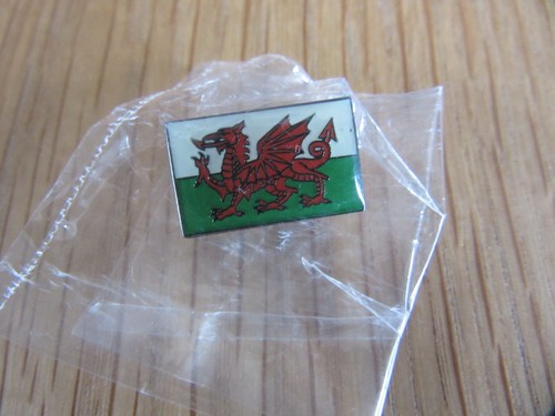 Wales dragon flag pin - pin, badge