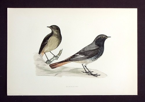 Blackstart original antique - blackstart,,