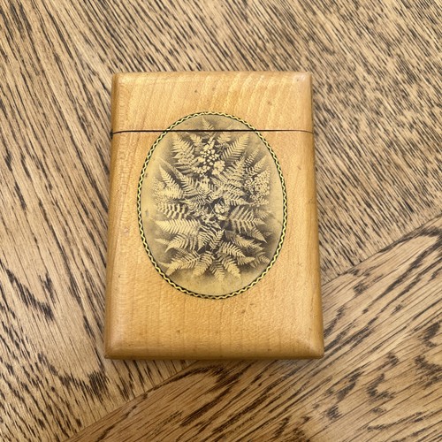 Victorian mauchline fern - victorian,