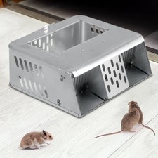 Squirrel trap heavy duty - squirrel,