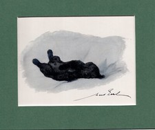 Maud Earl ~ Cocker Spaniel ~ Gun Dog. Hand Coloured Print Genuine Vintage 1930