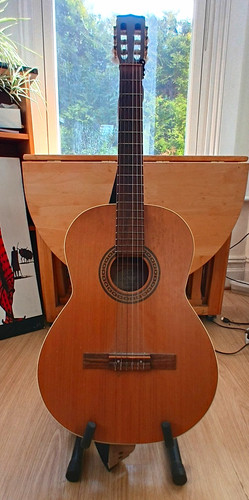 Patrie electro acoustic - patrie, electro-acoustic