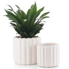FUYHE 6"+4.7" Ceramic Plant