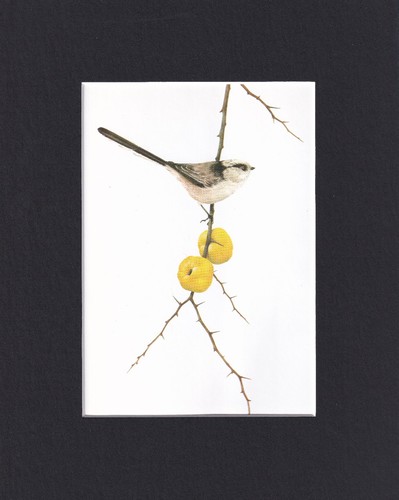 8x10 matted print - 8x10",