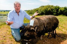 Jeremy Clarkson Hand Signed