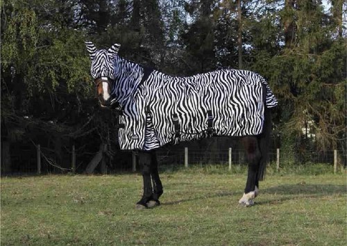 Jump zebra fly rug free - fly, mask
