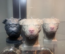 dog Cat Candles head pet paw