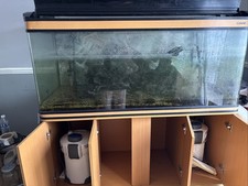Fish Tank Aquarium Complete
