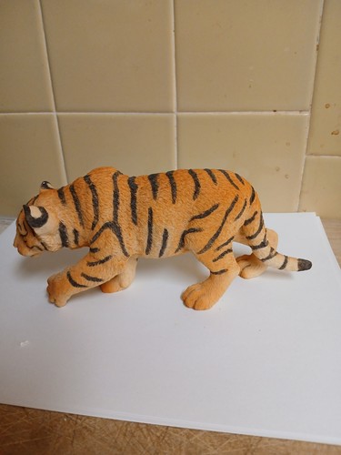 Stalking tiger cub decorative - cub,