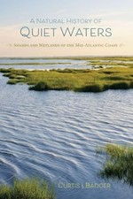 Natural History of Quiet