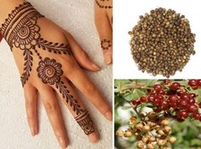 Henna Seeds | Mehndi |मेहँदी 500+ seeds | Henna Tattoo | Same Day Dispatch