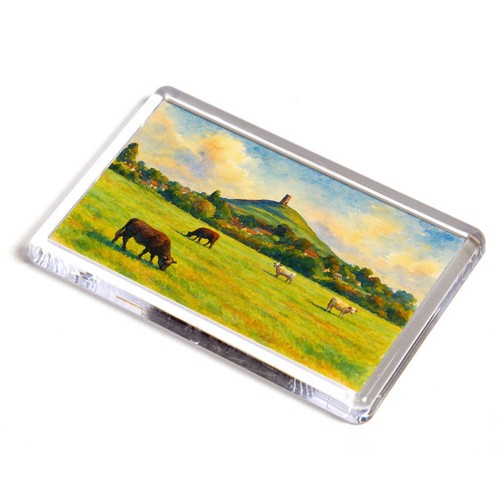 Fridge magnet glastonbury - -,