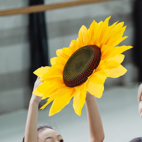 Reusable large sunflower - large, head