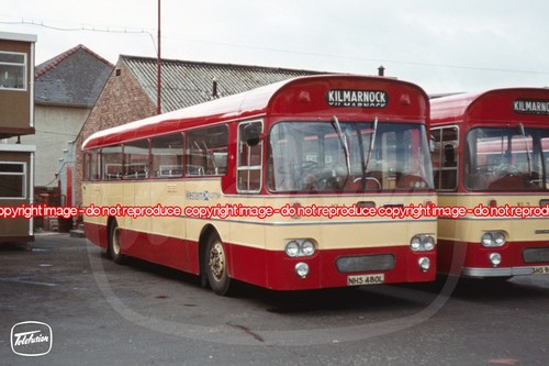 Bus photo western - bus,