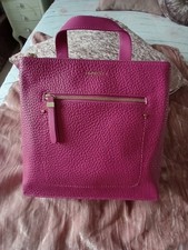 Fiorelli Small Finley Backpack