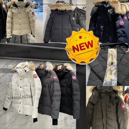 Hot canada goose wyndham - goose,