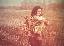 16mm Devon Education Committee