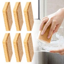 Eco compostable sponge - 6x,