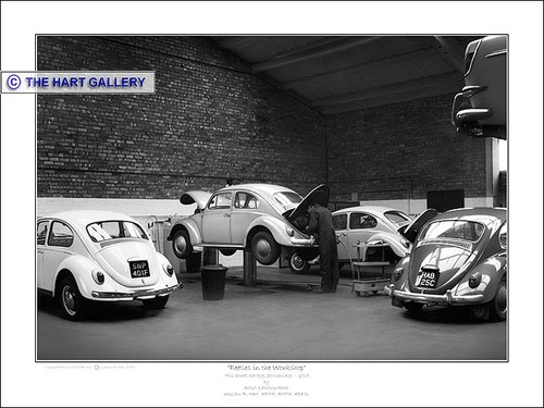 Volkswagen beetles the - volkswagen, vw