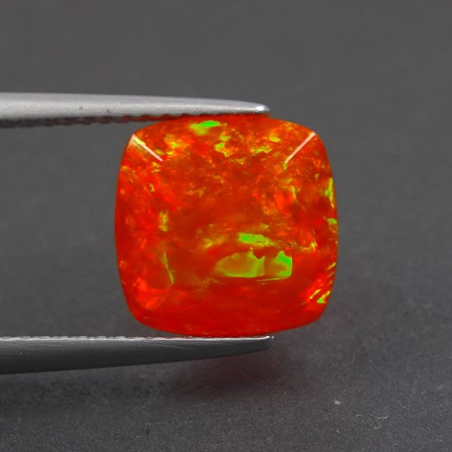 Ethiopian orange fire - ethiopian,