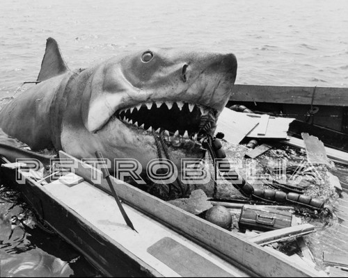 Bruce the shark jaws - bruce, 8