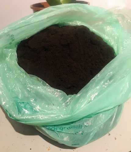 Used coffee grounds - for, garden