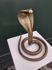 Beautiful Cobra Snake.