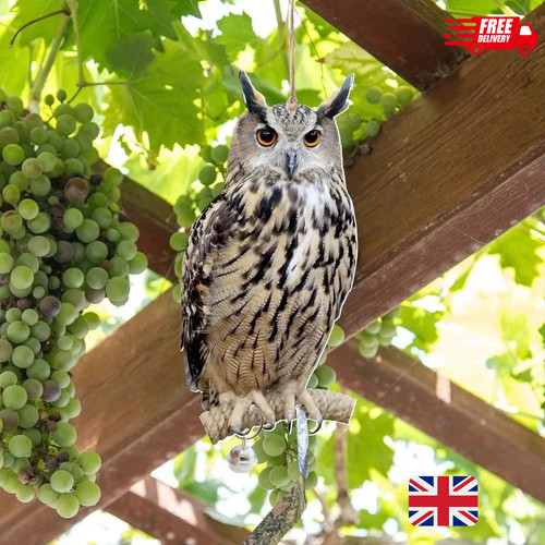 Owl decoy bird - owl,