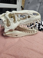 Rex skull fossil replica - t-rex,