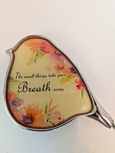 Silver tone bird ring tray - silver,