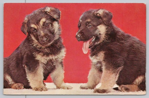 Postcard couldn t care - "we,