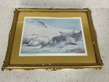Archibald thorburn signed - archibald,