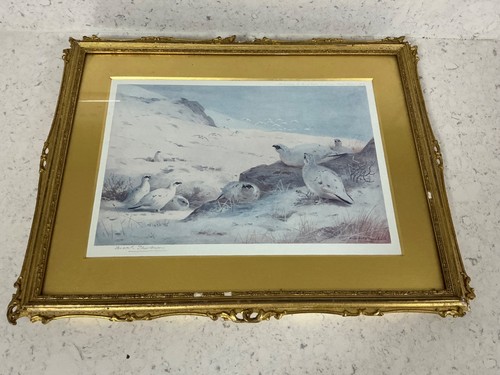 Archibald thorburn signed - archibald,